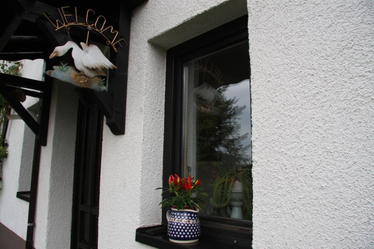 Ferienwohnung Am Steinbachtal Thale Exterior photo